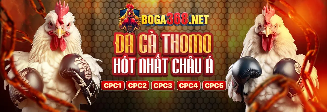 Tin tức mới nhất về betcom88 code và các ưu đãi độc quyền năm 2026